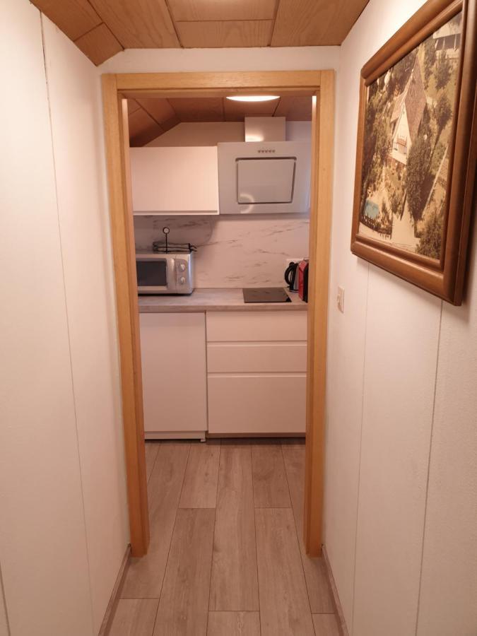 Sonnige Ruhige Dachzimmer Inkl Wifi Plus Kaffee Mit Wg Dusche Und Neuer Kueche Lörrach Kültér fotó