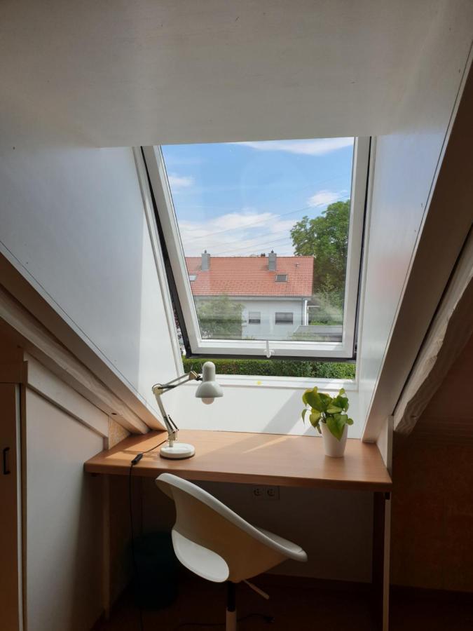 Sonnige Ruhige Dachzimmer Inkl Wifi Plus Kaffee Mit Wg Dusche Und Neuer Kueche Lörrach Kültér fotó