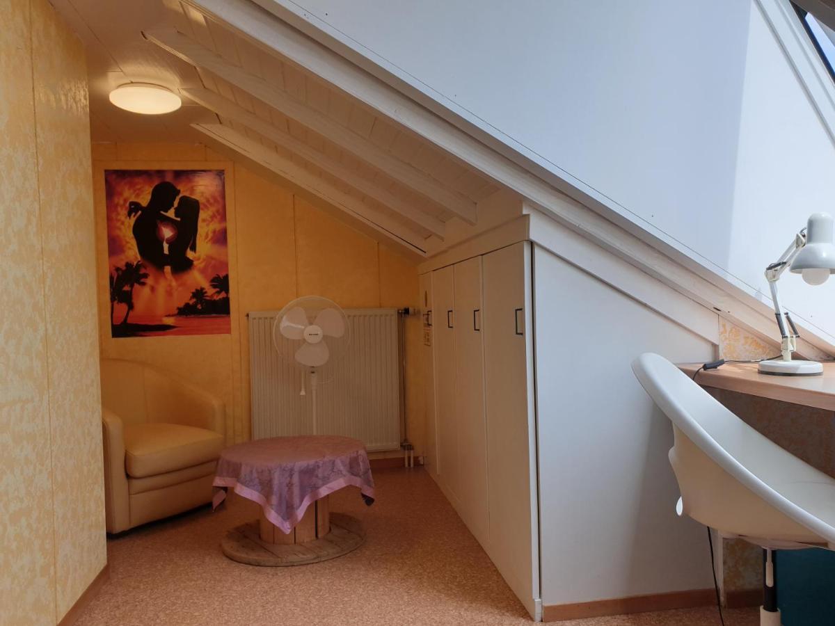 Sonnige Ruhige Dachzimmer Inkl Wifi Plus Kaffee Mit Wg Dusche Und Neuer Kueche Lörrach Kültér fotó